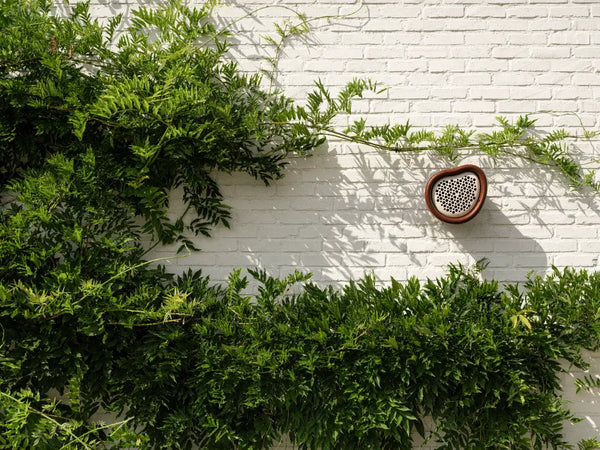 Organic bijenhotel kastanje bruin – insectenhotel voor solitaire bijen | Duurzaam gerecycled kunststof & weerbestendig