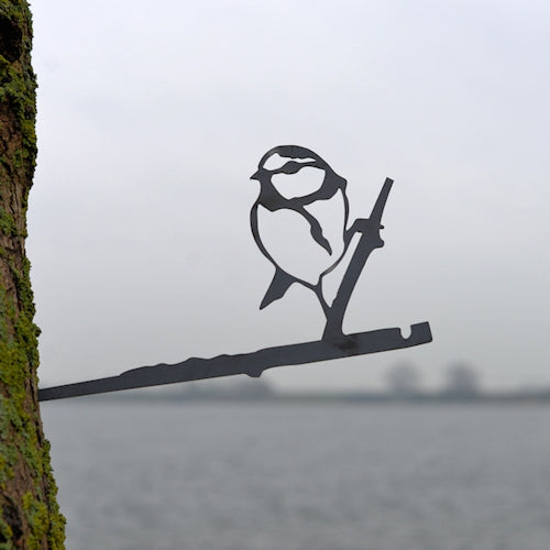 Birdwise - Blue Tit