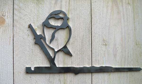 Birdwise - Blue Tit