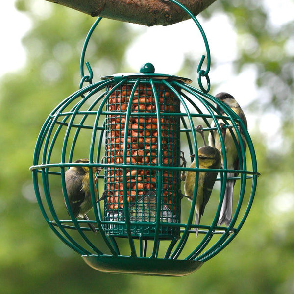 Bird Protection - London Peanut Silo