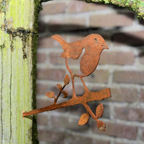 Birdwise - Robin
