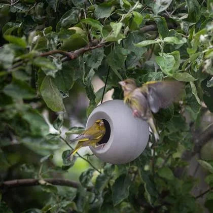 SingingFriend - Lisa beige