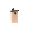 Birdhouse Simon