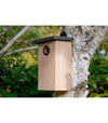 Birdhouse Simon