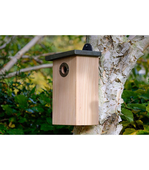 Birdhouse Simon