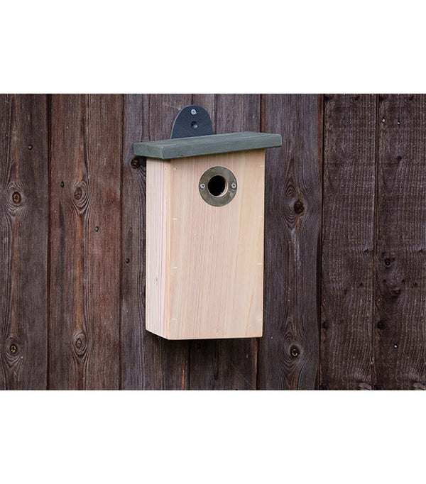 Birdhouse Simon