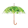 Umbrella tree crown