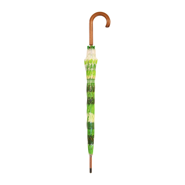 Paraplu boomkroon