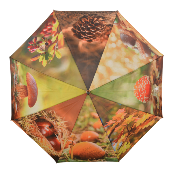 Umbrella autumn print