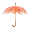 Umbrella tree crown autumn