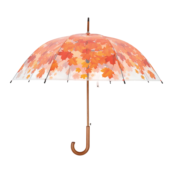 Umbrella tree crown autumn