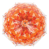Umbrella tree crown autumn