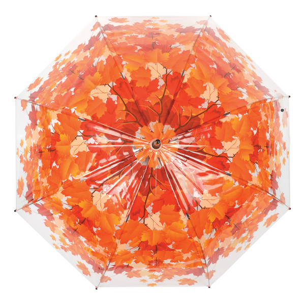 Umbrella tree crown autumn