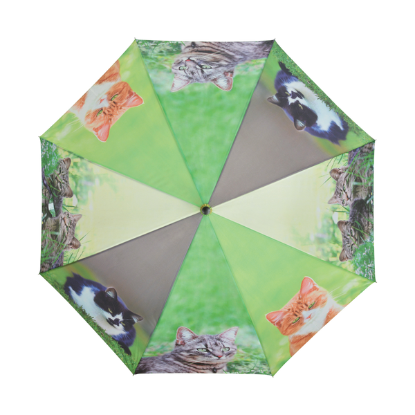 Regenschirmkatzen