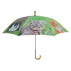 Regenschirmkatzen