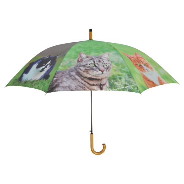 Regenschirmkatzen