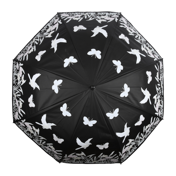 Farbwechselnder Regenschirmvogel