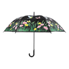 Farbwechselnder Regenschirmvogel