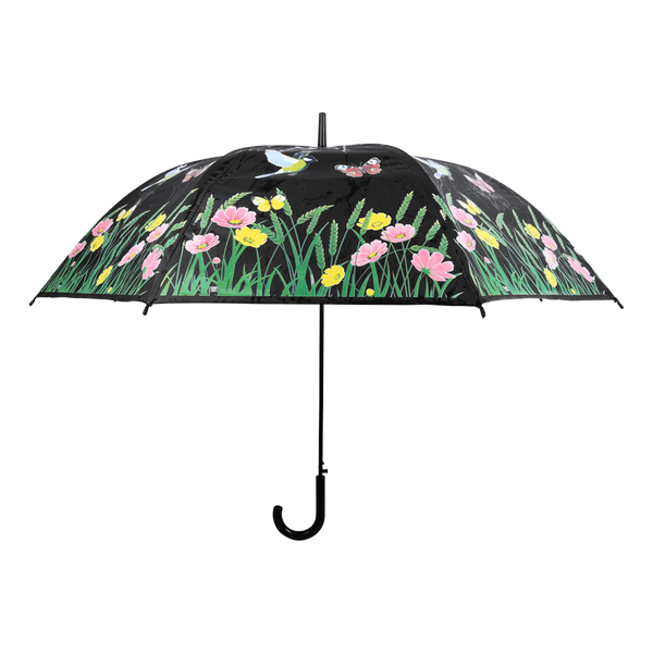 Farbwechselnder Regenschirmvogel