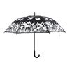 Farbwechselnder Regenschirmvogel