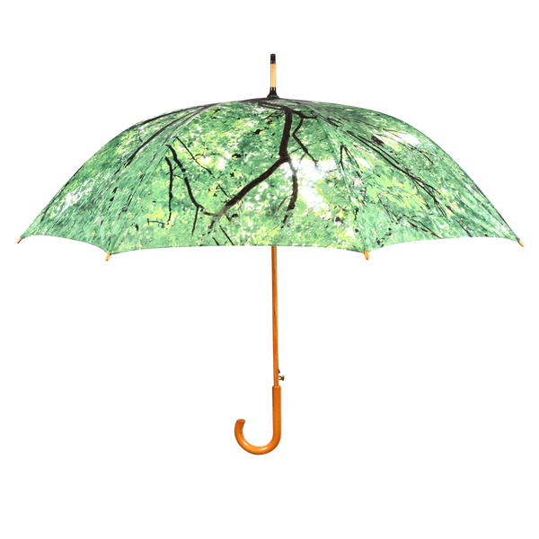 Umbrella tree crown