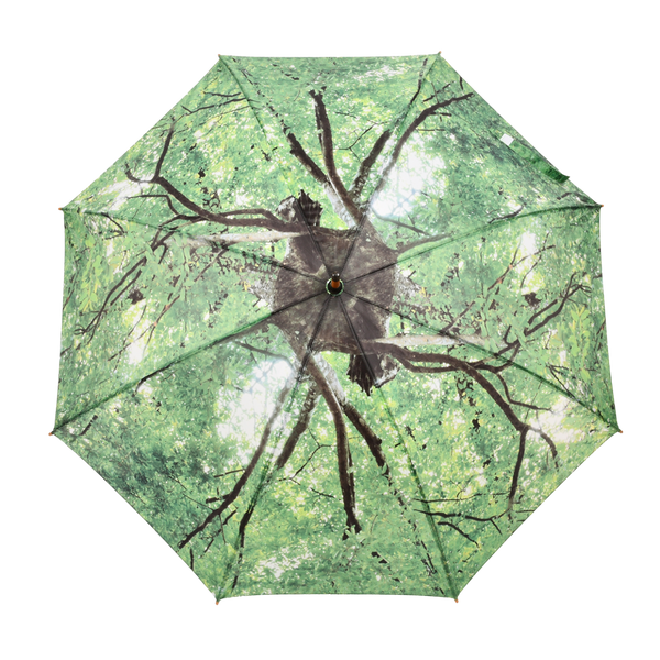Umbrella tree crown