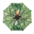Umbrella tree crown