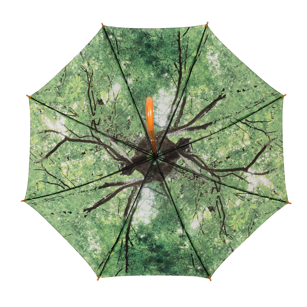 Umbrella tree crown