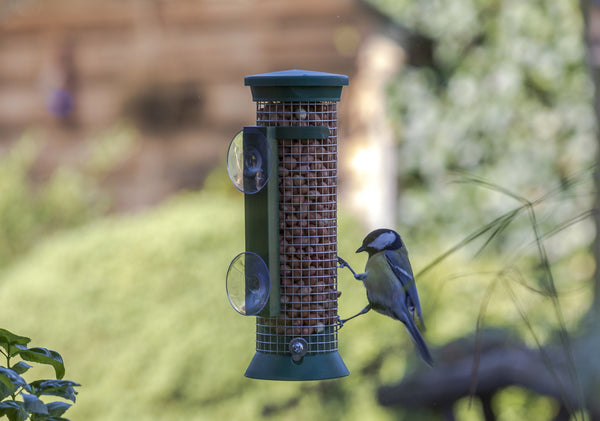 Raamsilo Challenger Pinda – in de tuin