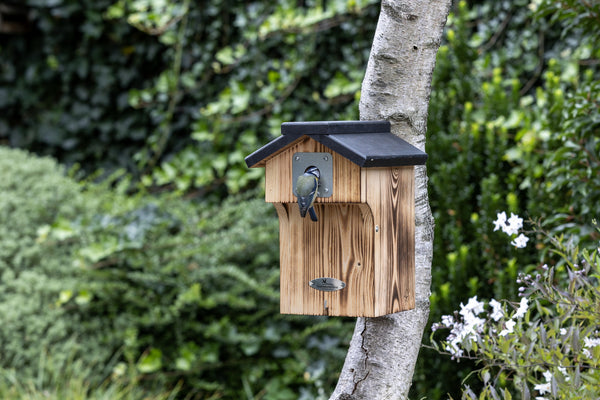 Nestkast Denton 28mm – in de tuin