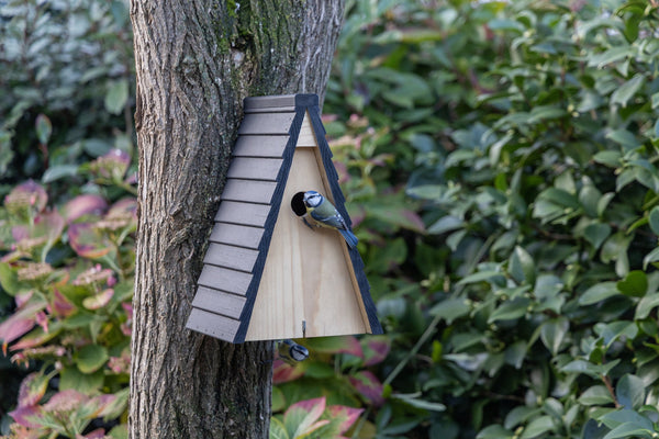 Nestkast Bokrijk 32mm – in de tuin