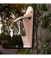 Tree Creeper Box
