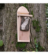 Baumläuferbox