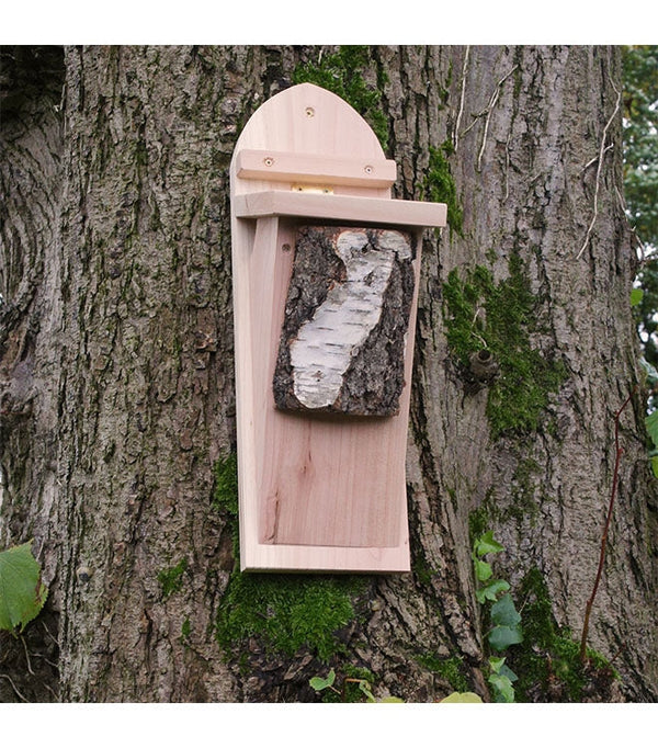 Baumläuferbox