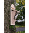 Tree Creeper Box