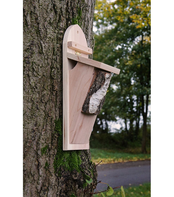 Baumläuferbox