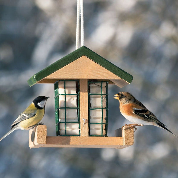 Vogelschutz-Fettblockhalter Pasadena