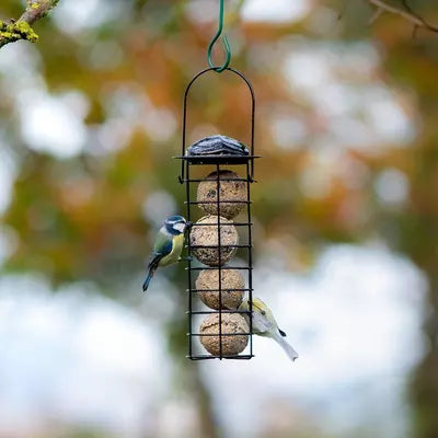 Meisenknödeleinheit Bremen schwarz
