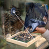 Bird Protection - Premium Bird Table Mix