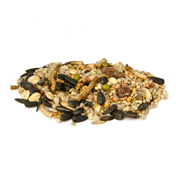 Bird Protection - Summer Vital Scattering Food