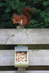 Eichhörnchen-Futterhaus