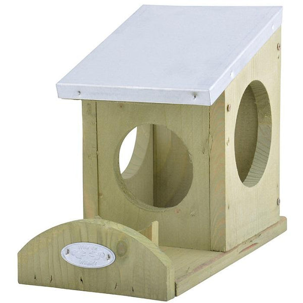 Squirrel peanut butter bird feeder