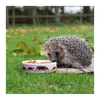 Myrtle – Igel-Futternapf