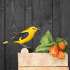 DecoBird Golden Oriole