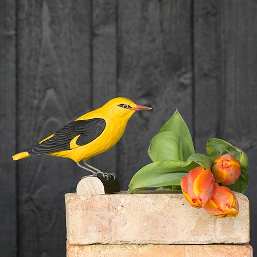 DecoBird Golden Oriole