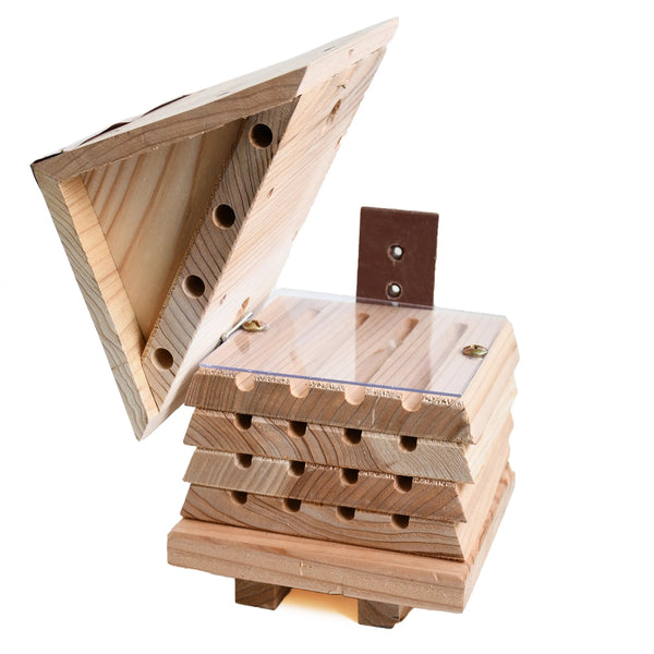 Bijenkorf Hout stapelbaar Flip Top