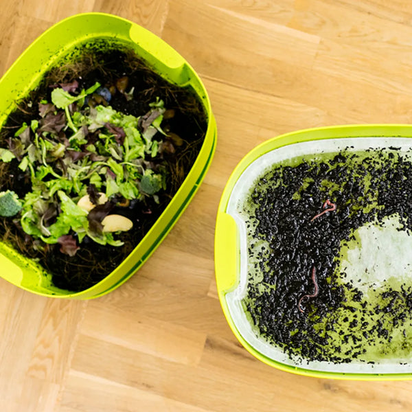 Worm Composter Lime