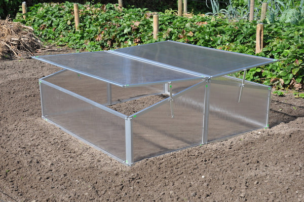 Slim Kweken - Silver Thyme