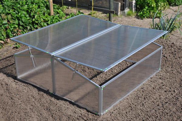 Slim Kweken - Silver Thyme