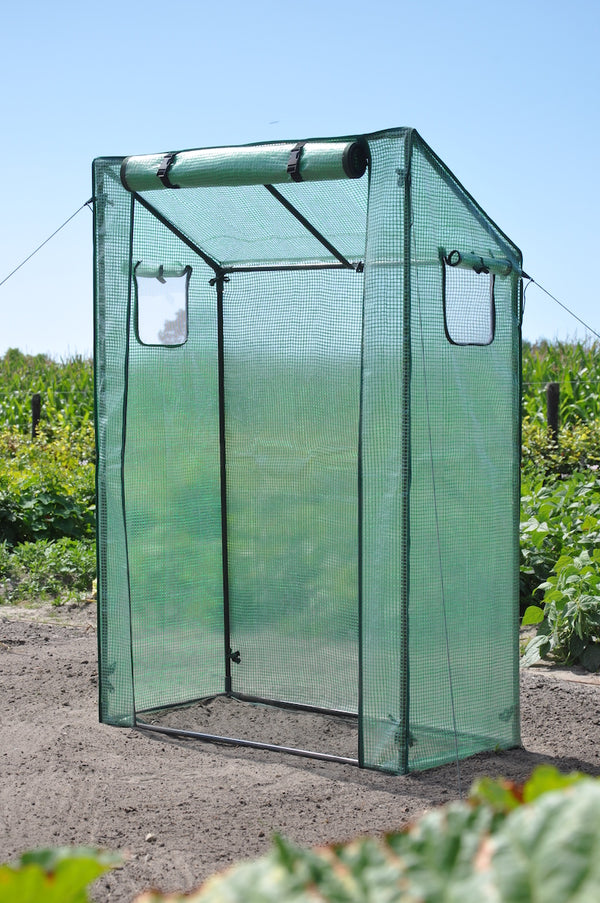 Slim Kweken - Roma Tomato